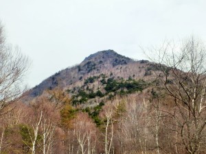 Mt.Kentoku summit as viewed from the Tsukimiiwa ridge